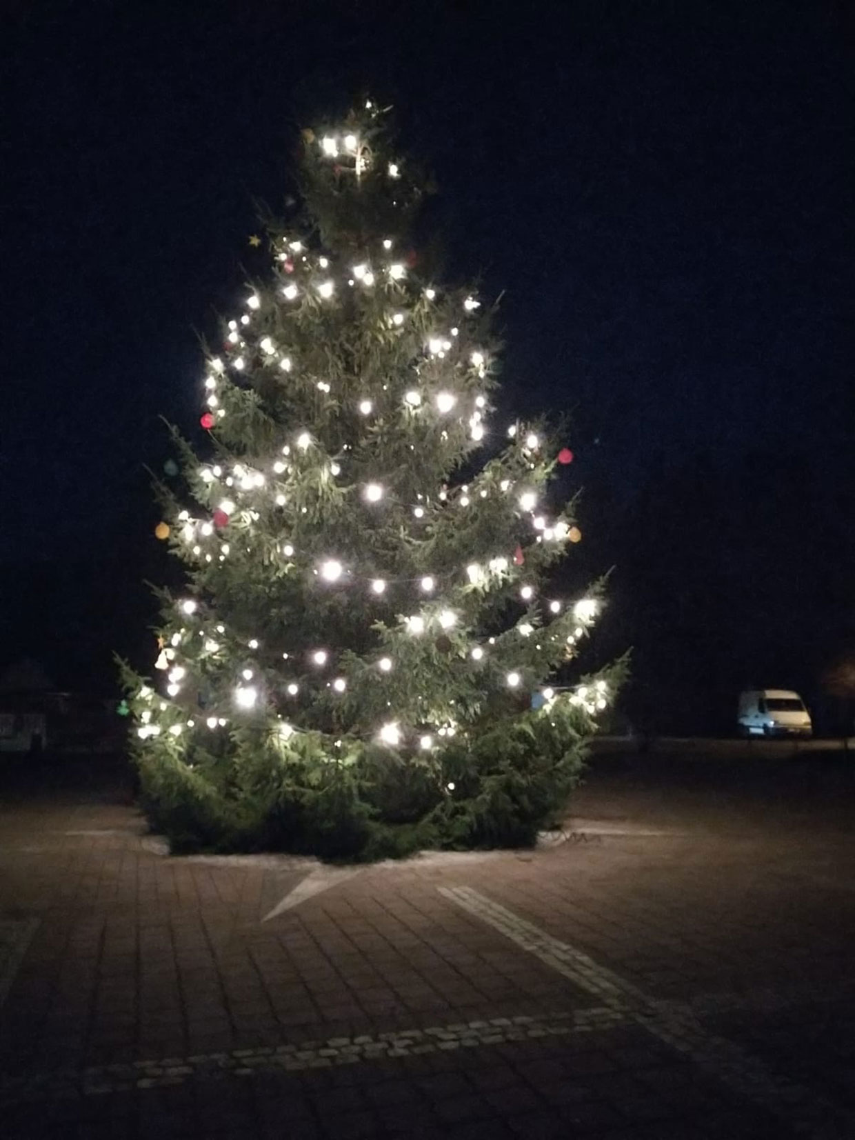 Weihnachtsbaum auf dem Marktplatz. Foto: I. Renner